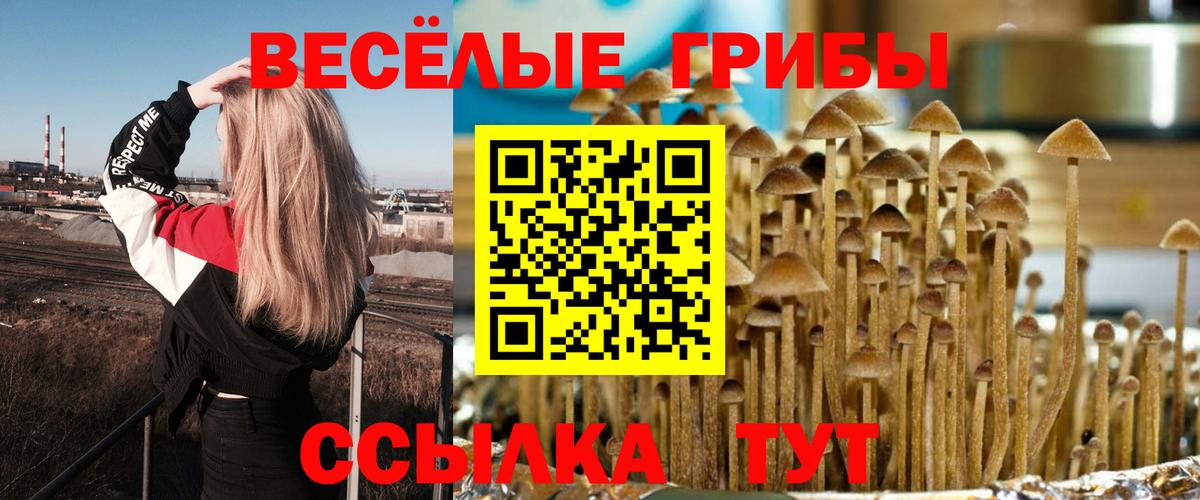 Братск  купить наркоту  Вход с VPN  Псилоцибиновые грибы Cubensis 