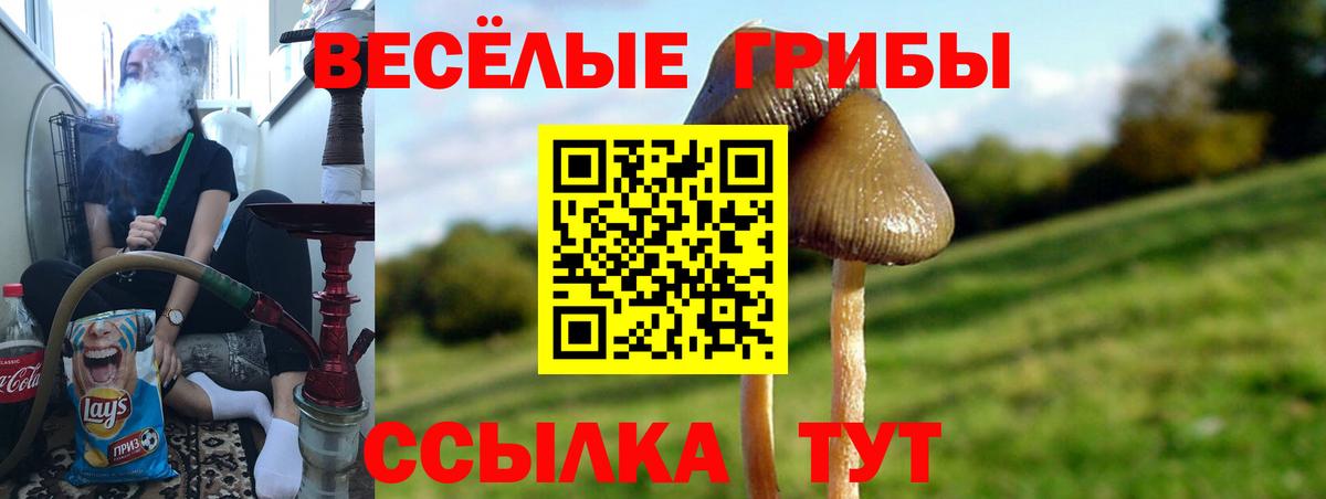 Галлюциногенные грибы Magic Shrooms Братск